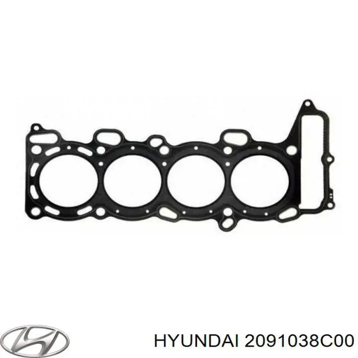 Комплект прокладок двигуна, повний 2091038C00 Hyundai/Kia