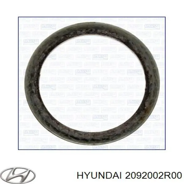 Купити 2092002R00 Hyundai/Kia Комплект прокладок двигуна, верхній