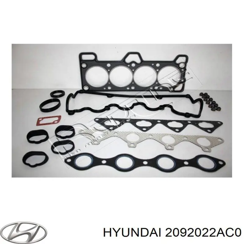 2092022AC0 Hyundai/Kia комплект прокладок двигуна, верхній