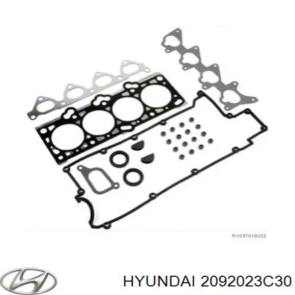 2092023C30 Hyundai/Kia комплект прокладок двигуна, верхній