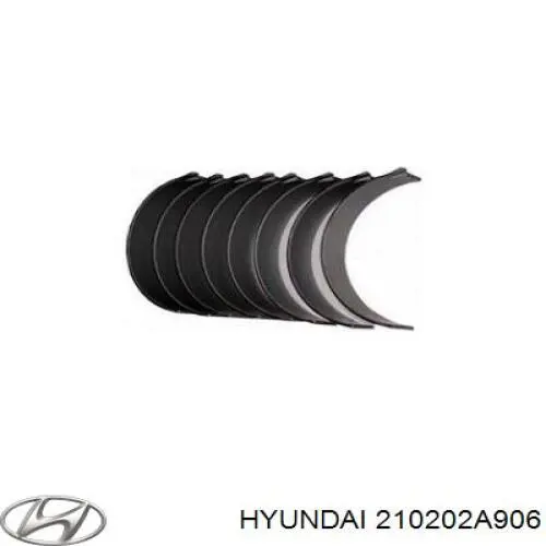 210202A906 Hyundai/Kia Підшипник шатуна