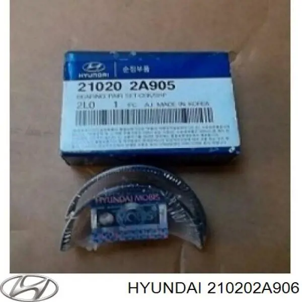 Купити 210202A906 Hyundai/Kia Вкладиші коленвала шатунні