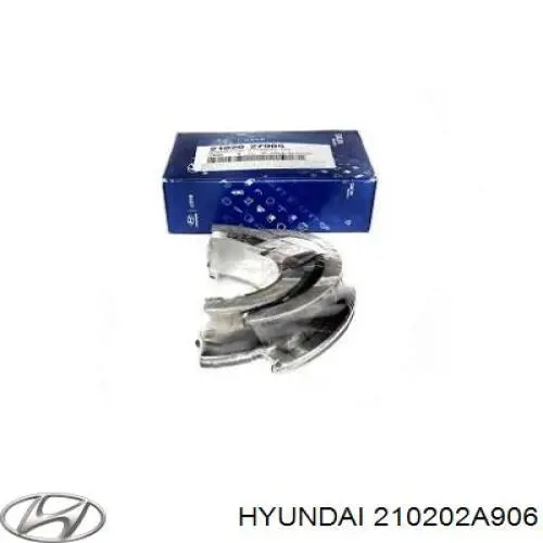 Вкладиші шатунні 210202A906 Hyundai/Kia