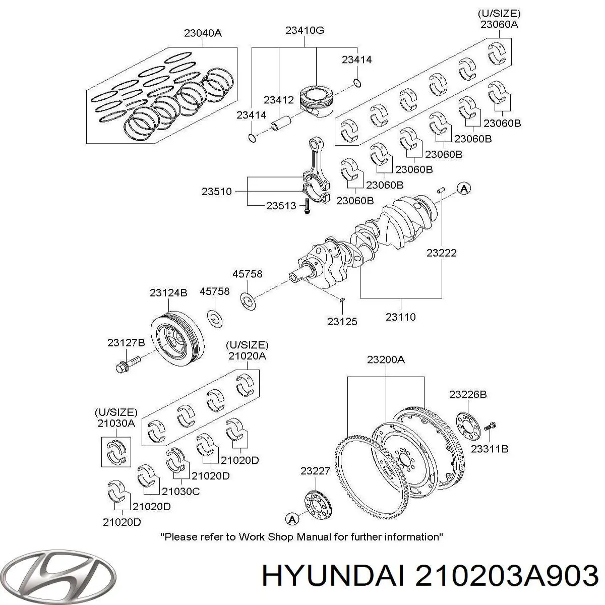  210203A903 Hyundai/Kia