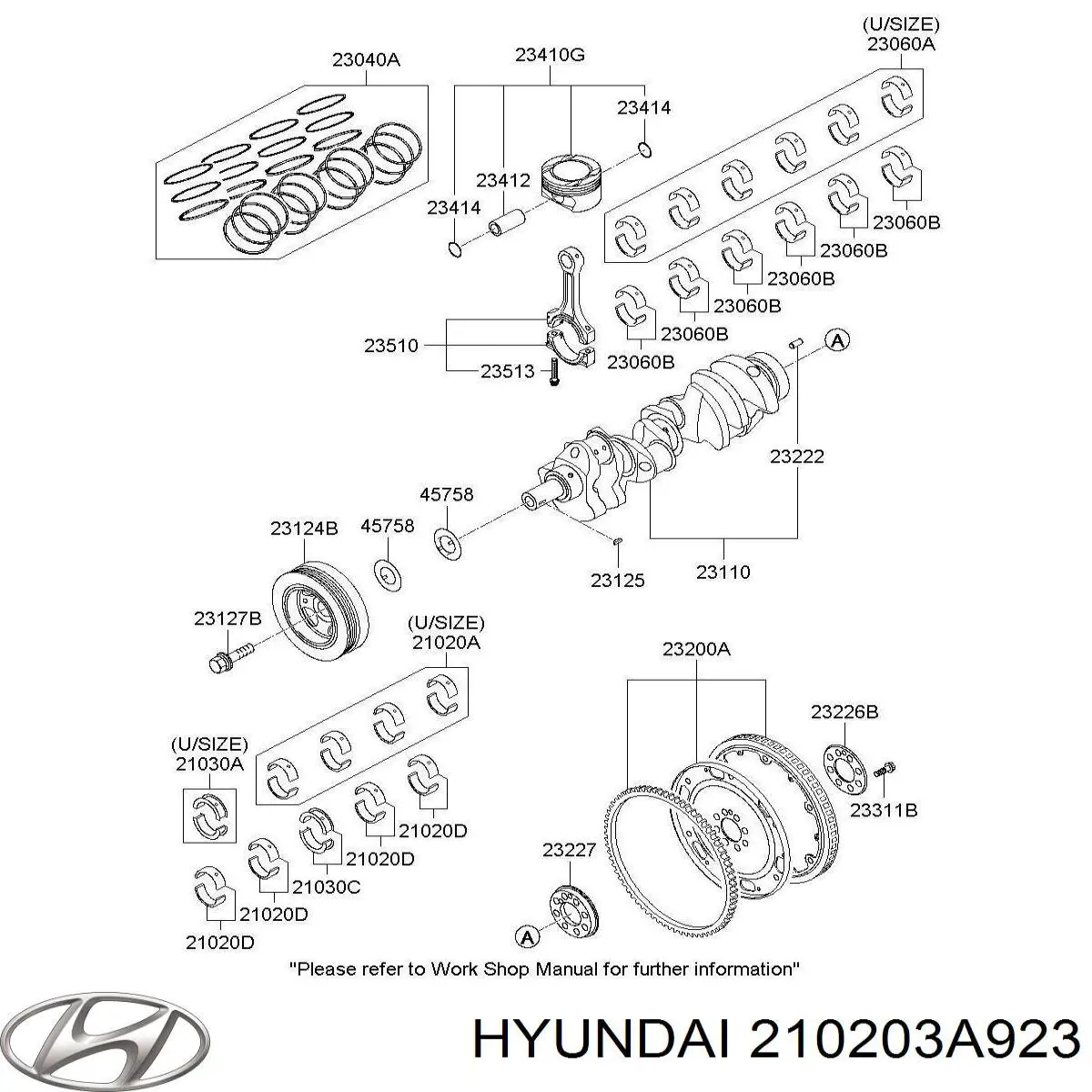 210203A923 Hyundai/Kia 