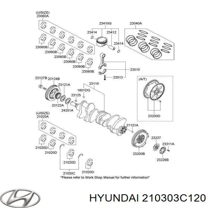 210303C120 Hyundai/Kia Вперте півкільце колінчастого вала, комплект