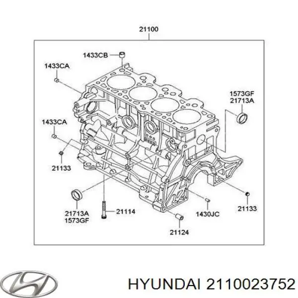 Блок циліндрів двигуна Hyundai Tucson (JM) (Хендай Таксон)
