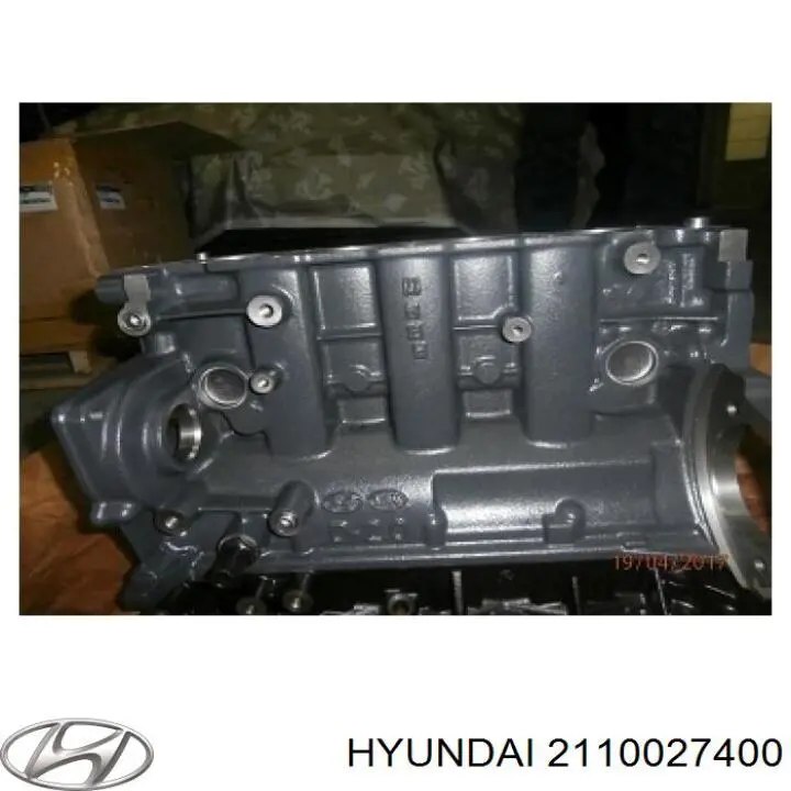 Блок циліндрів двигуна 2110027400 Hyundai/Kia