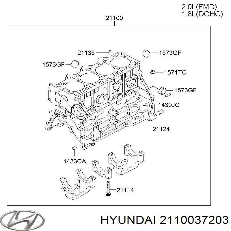 Блок циліндрів двигуна 2110037203 Hyundai/Kia