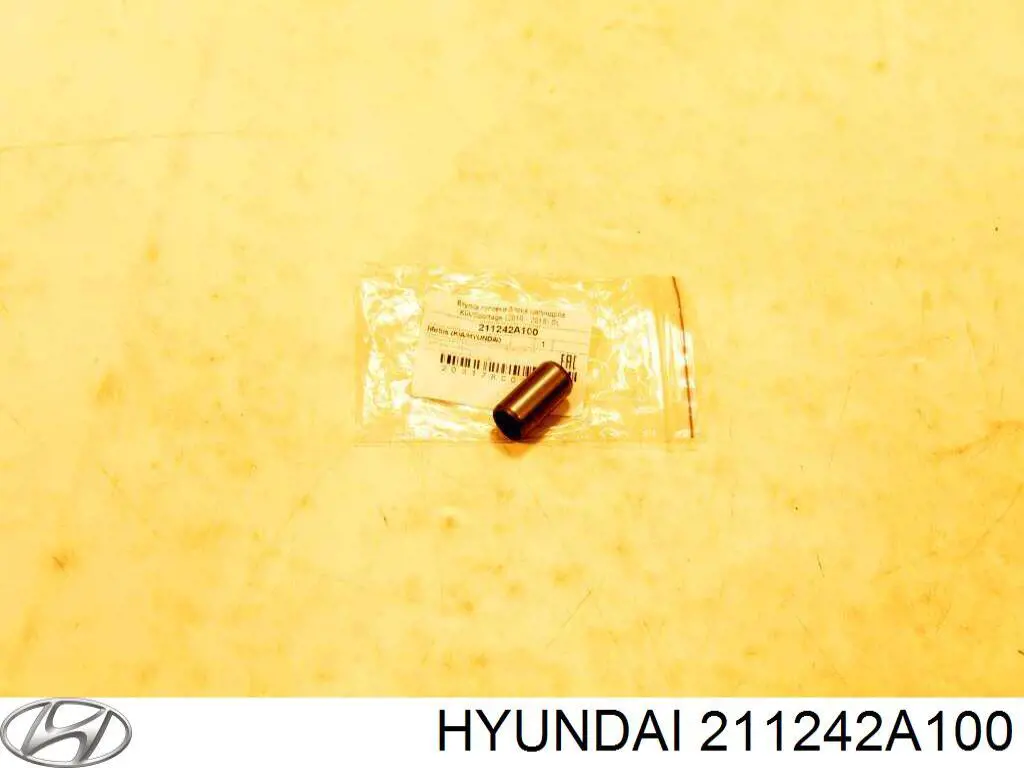211242A100 Hyundai/Kia 