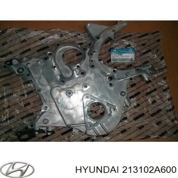  Hyundai/Kia 213102A600 ціна, від 177.90 USD