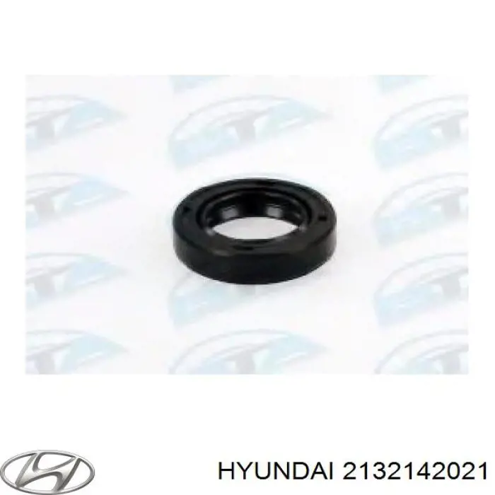 2132142021 Hyundai/Kia сальник проміжного (балансирувального валу двигуна)