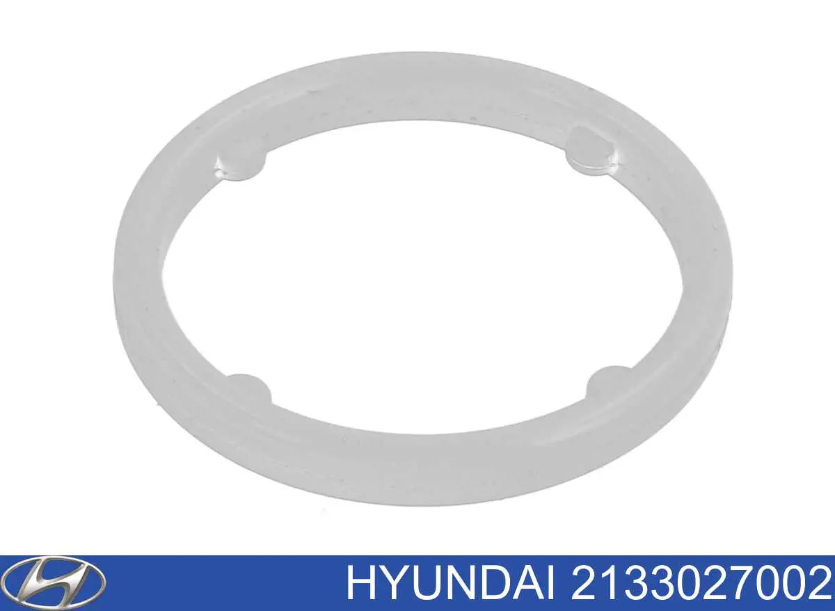 2133027002 Hyundai/Kia 