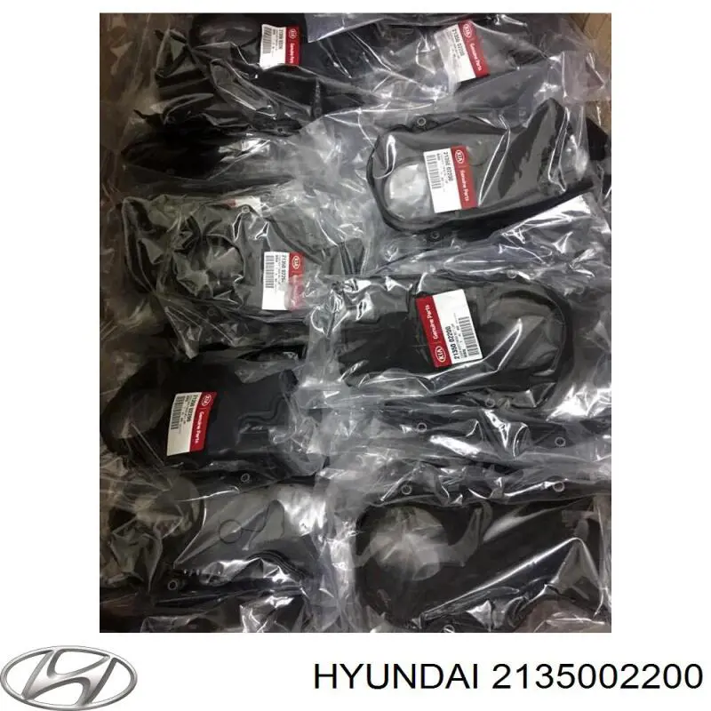  2135002200 Hyundai/Kia