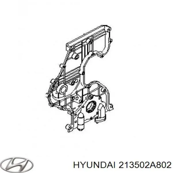  213502A802 Hyundai/Kia