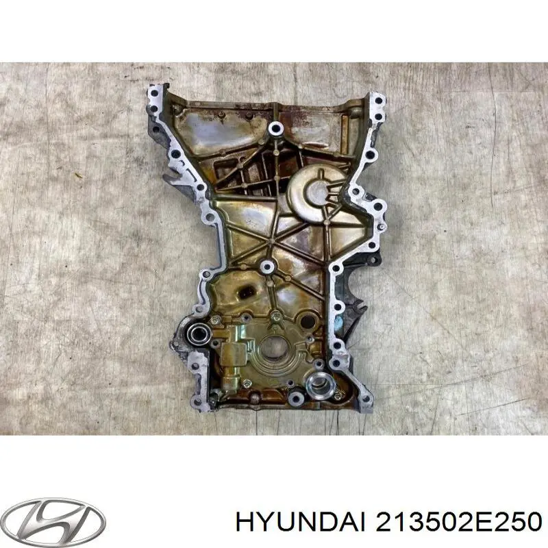 Купити 213502E250 Hyundai/Kia 