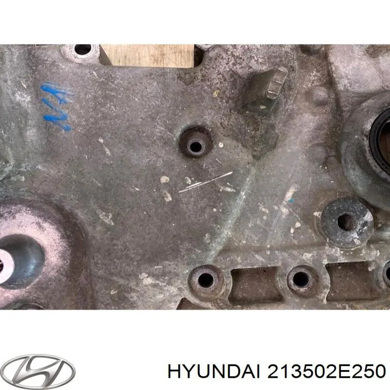 213502E250 Hyundai/Kia 