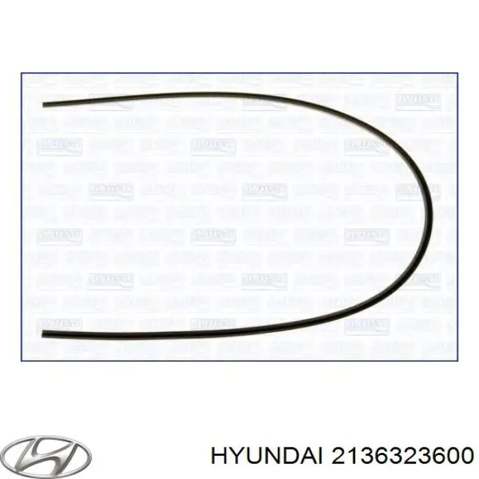  2136323600 Hyundai/Kia