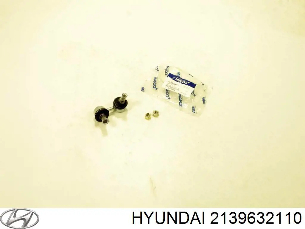  2139632110 Hyundai/Kia