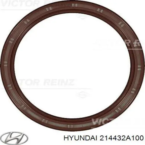 Купити 214432A100 Hyundai/Kia Сальник колінвала задній