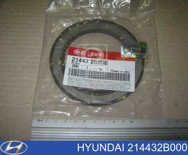 Купити 214432B000 Hyundai/Kia Сальник колінвала задній