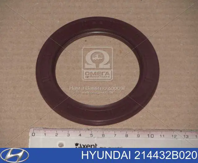 Купити 214432B020 Hyundai/Kia Сальник колінвала задній