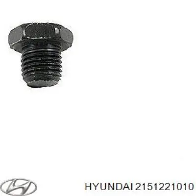 Купити 2151221010 Hyundai/Kia Пробка піддона двигуна