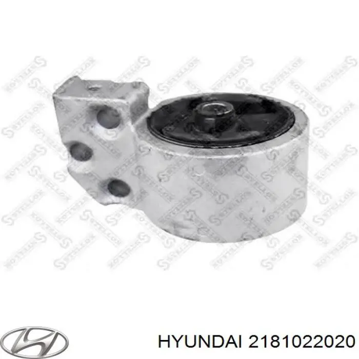  2181022020 Hyundai/Kia