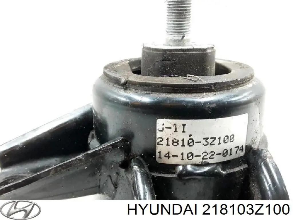  218103Z100 Hyundai/Kia