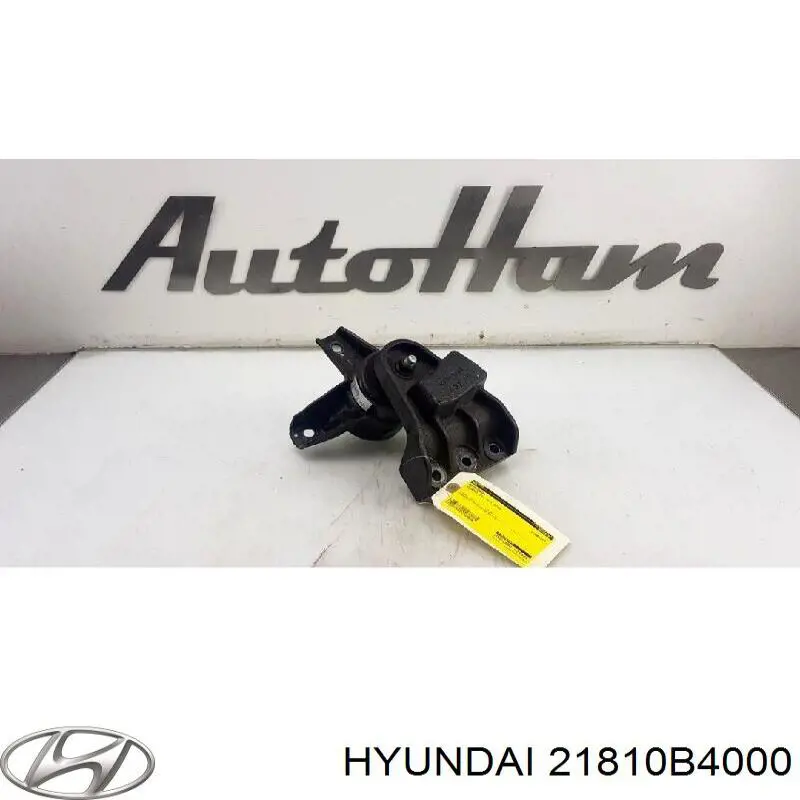  Hyundai/Kia 21810B4000 ціна, від 31.42 USD