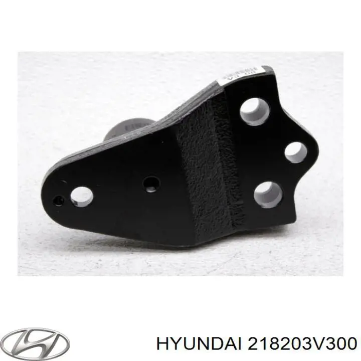  218203V300 Hyundai/Kia