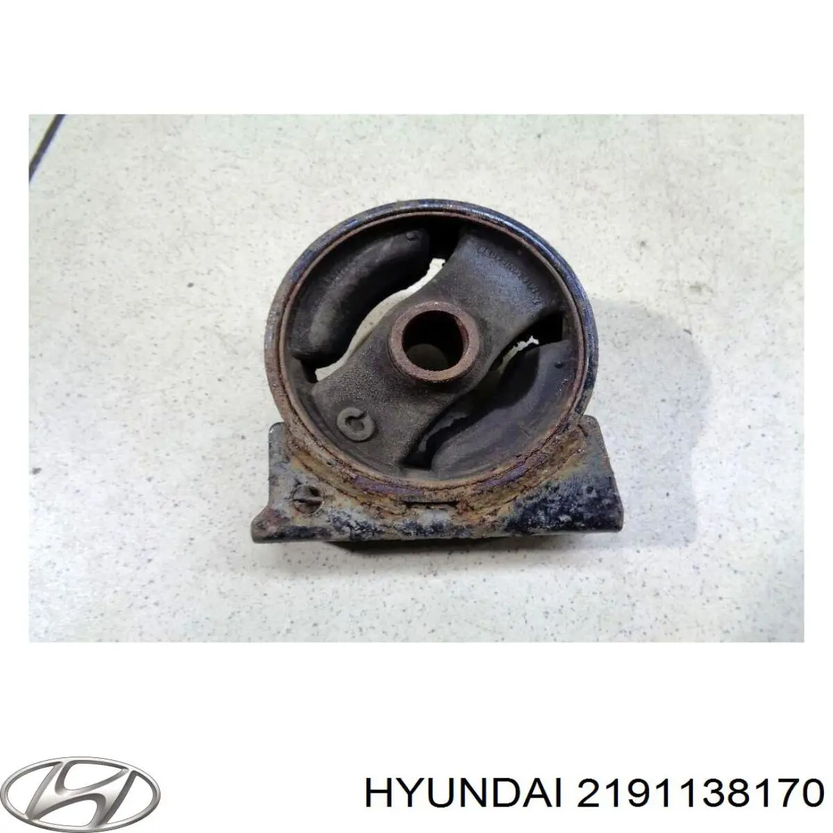 2191138170 Hyundai/Kia 