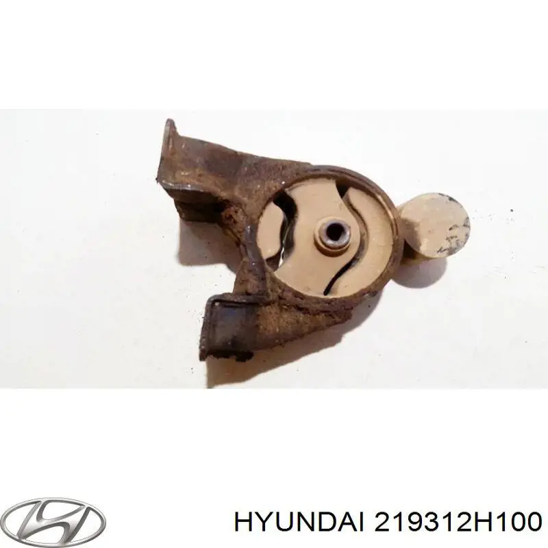 219312H100 Hyundai/Kia 