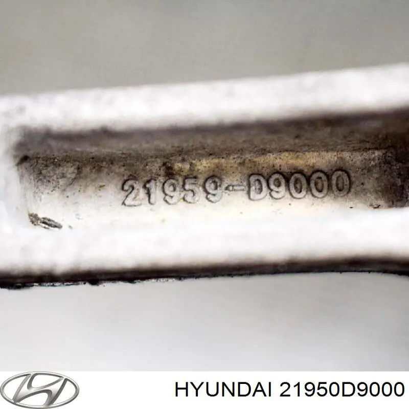 Купити 21950D9000 Hyundai/Kia 