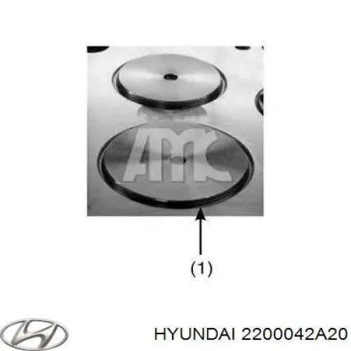 2200042A20 Hyundai/Kia Головка циліндрів