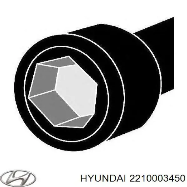 Головка двигуна Hyundai/Kia 2210003450 ціна, від 169.30 USD