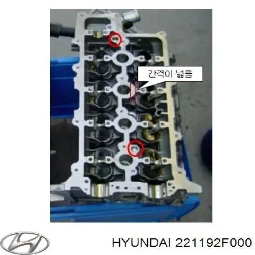 221192F000 Hyundai/Kia Напрямна клапана, випускного