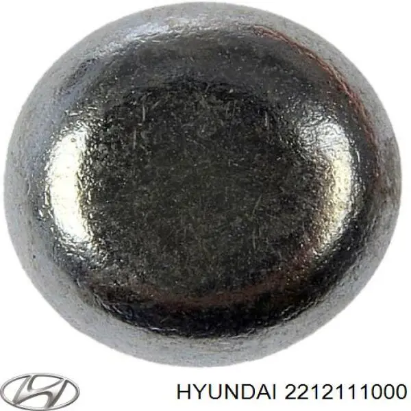 Купити 2212111000 Hyundai/Kia Заглушка блоку циліндрів