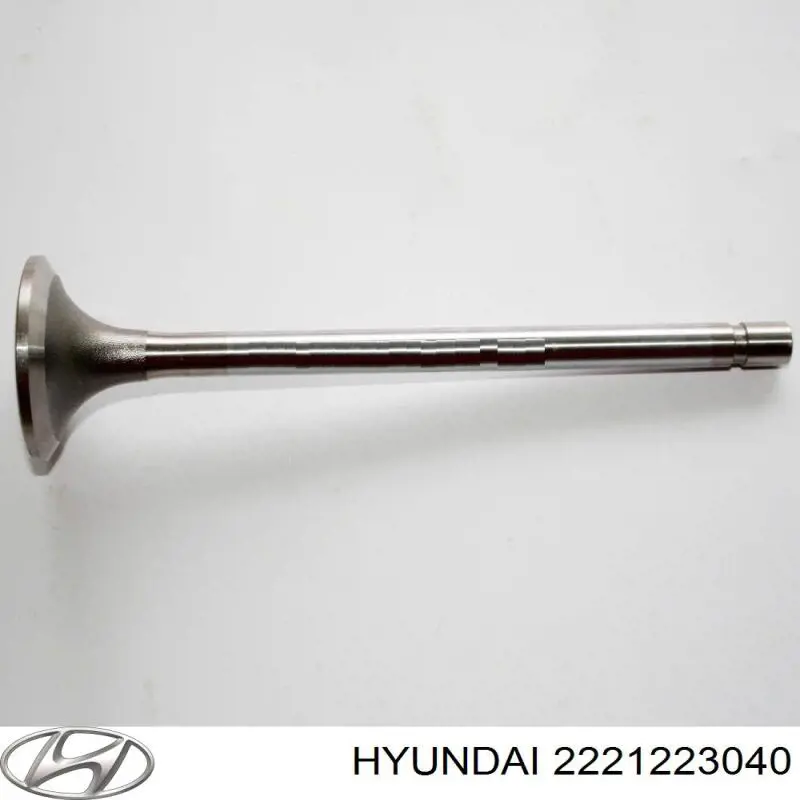  2221223040 Hyundai/Kia