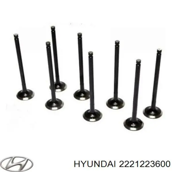 2221223600 Hyundai/Kia клапан випускний