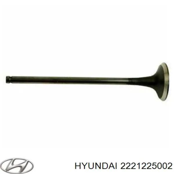 2221225002 Hyundai/Kia клапан випускний