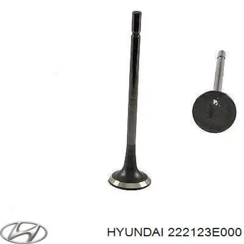 Вихлопний клапан Hyundai/Kia 222123E000 ціна, від 6.05 USD