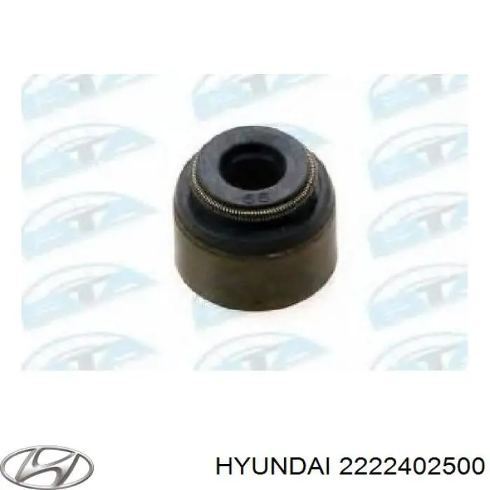 2222402500 Hyundai/Kia Сальник клапана (Маслос'емниє), впуск/випуск