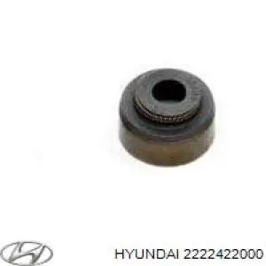 Купити 2222422000 Hyundai/Kia Сальник клапана