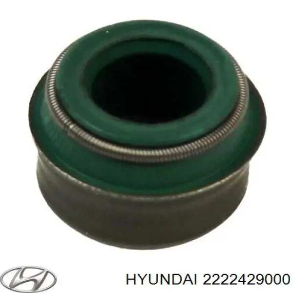  2222429000 Hyundai/Kia