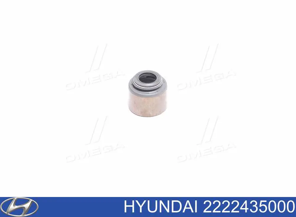 2222435000 Hyundai/Kia сальник клапана (маслознімний, впуск/випуск)