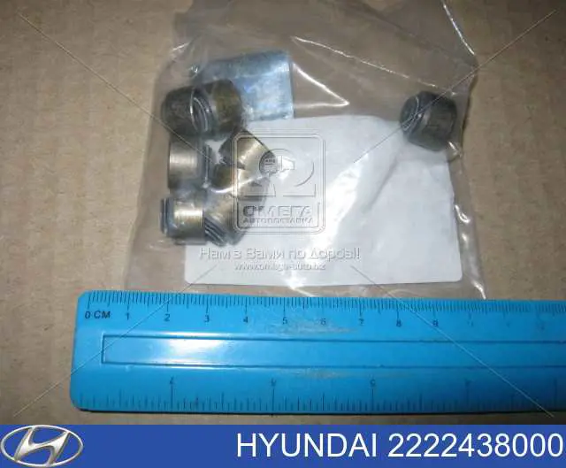 Купити 2222438000 Hyundai/Kia Сальник клапана