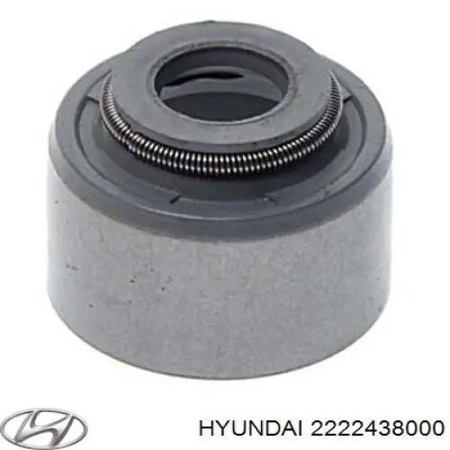 2222438000 Hyundai/Kia сальник клапана (маслознімний, впуск/випуск)