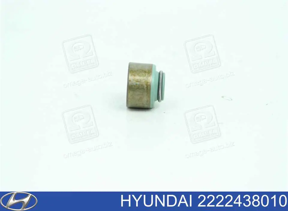 Купити 2222438010 Hyundai/Kia Сальник клапана (маслознімний), випускного
