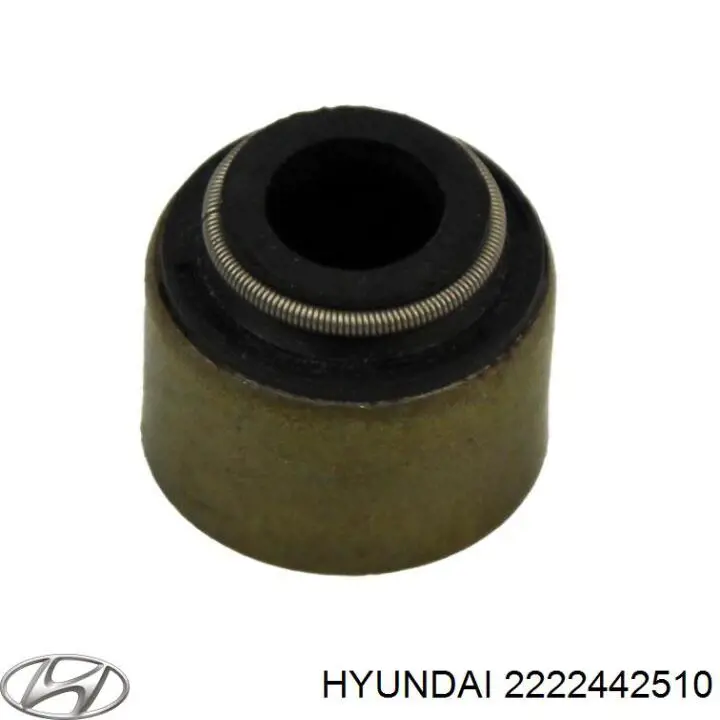 2222442510 Hyundai/Kia сальник клапана (маслознімний, впуск/випуск)